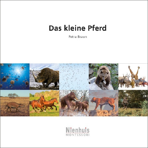 Das kleine Pferd