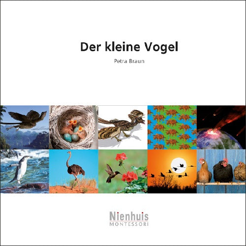 Der kleine Vogel