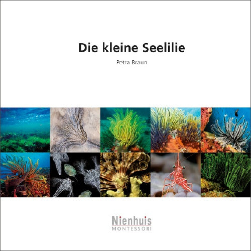 Die kleine Seelelie