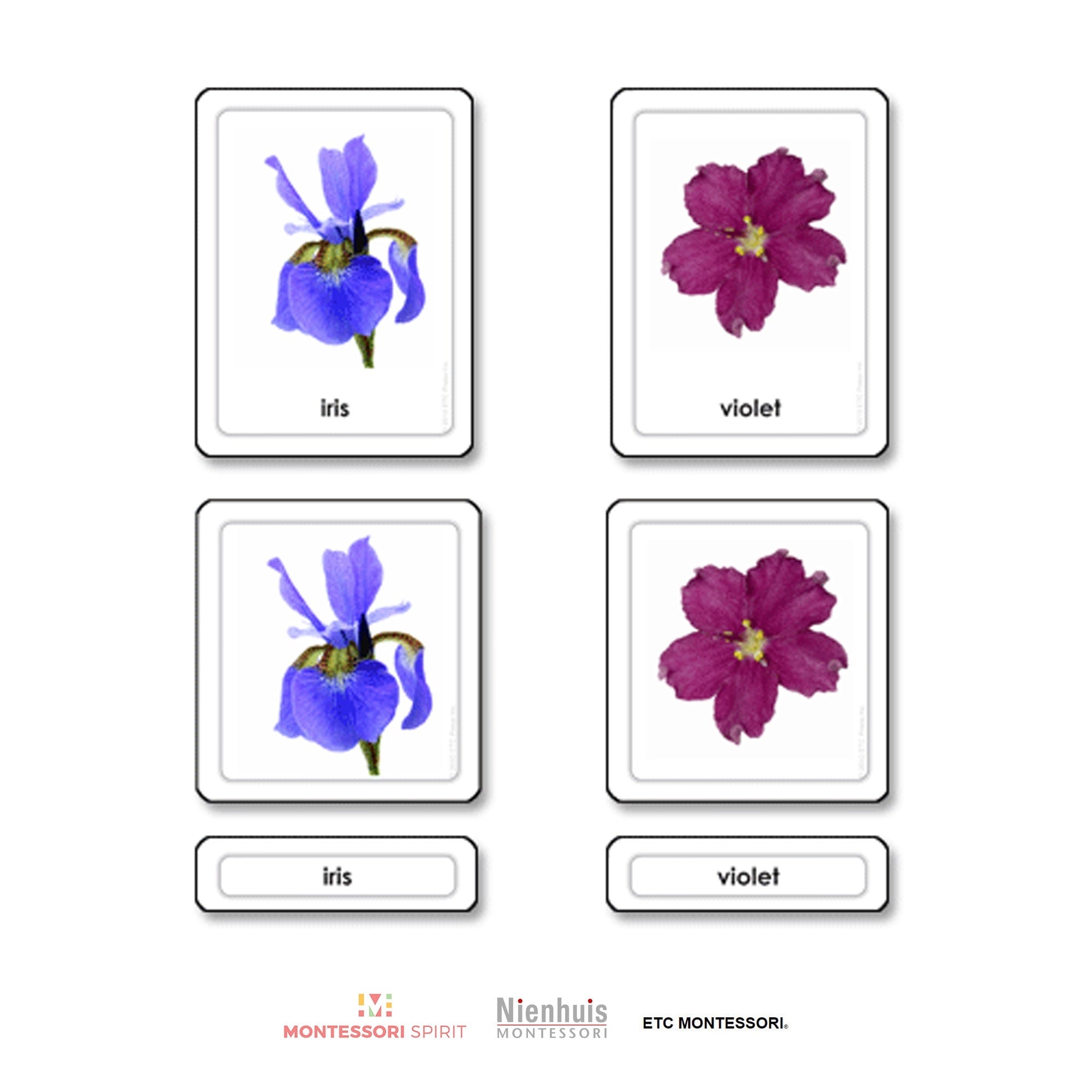 Flowers 3 Part Cards