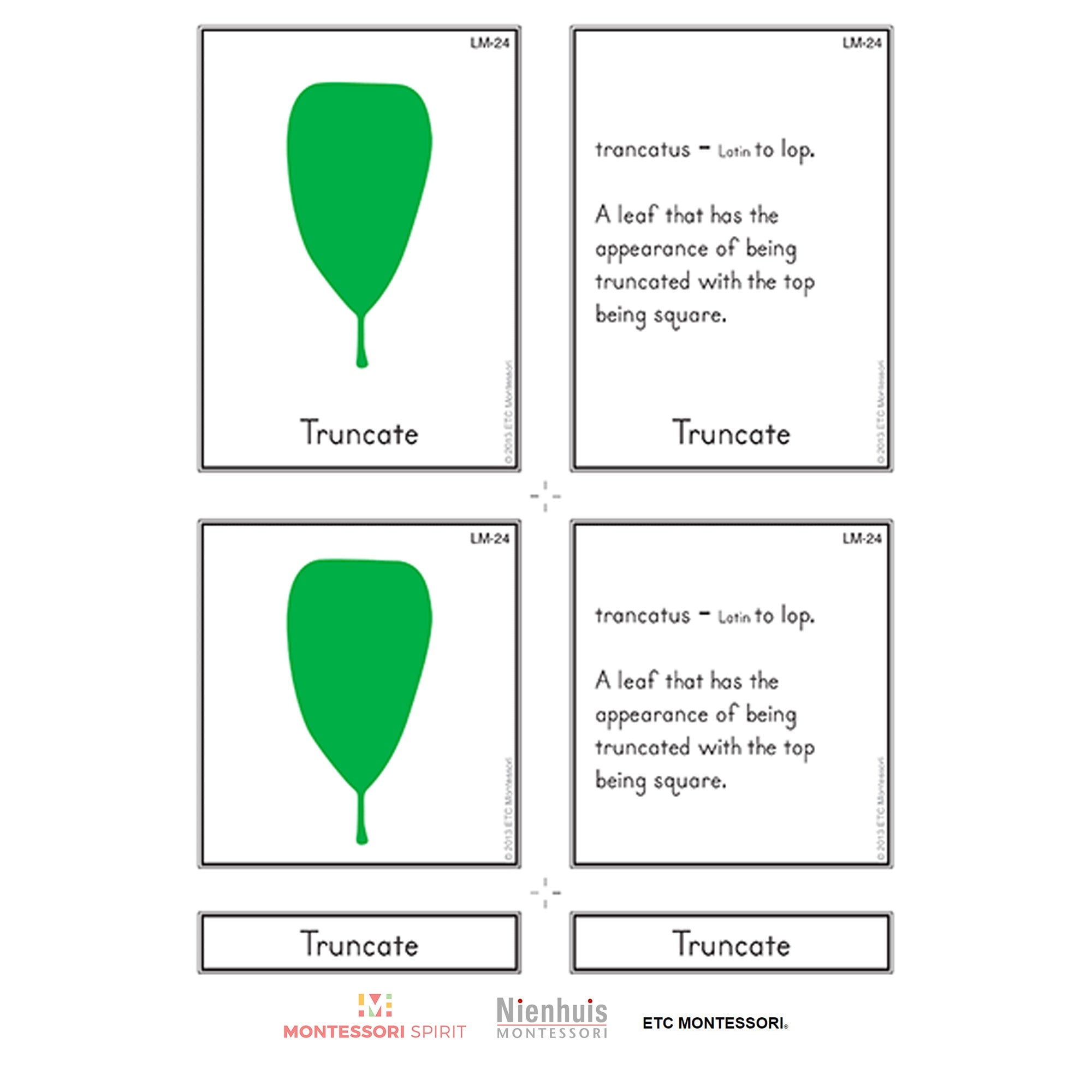 Leaf Morphology Nomenclature