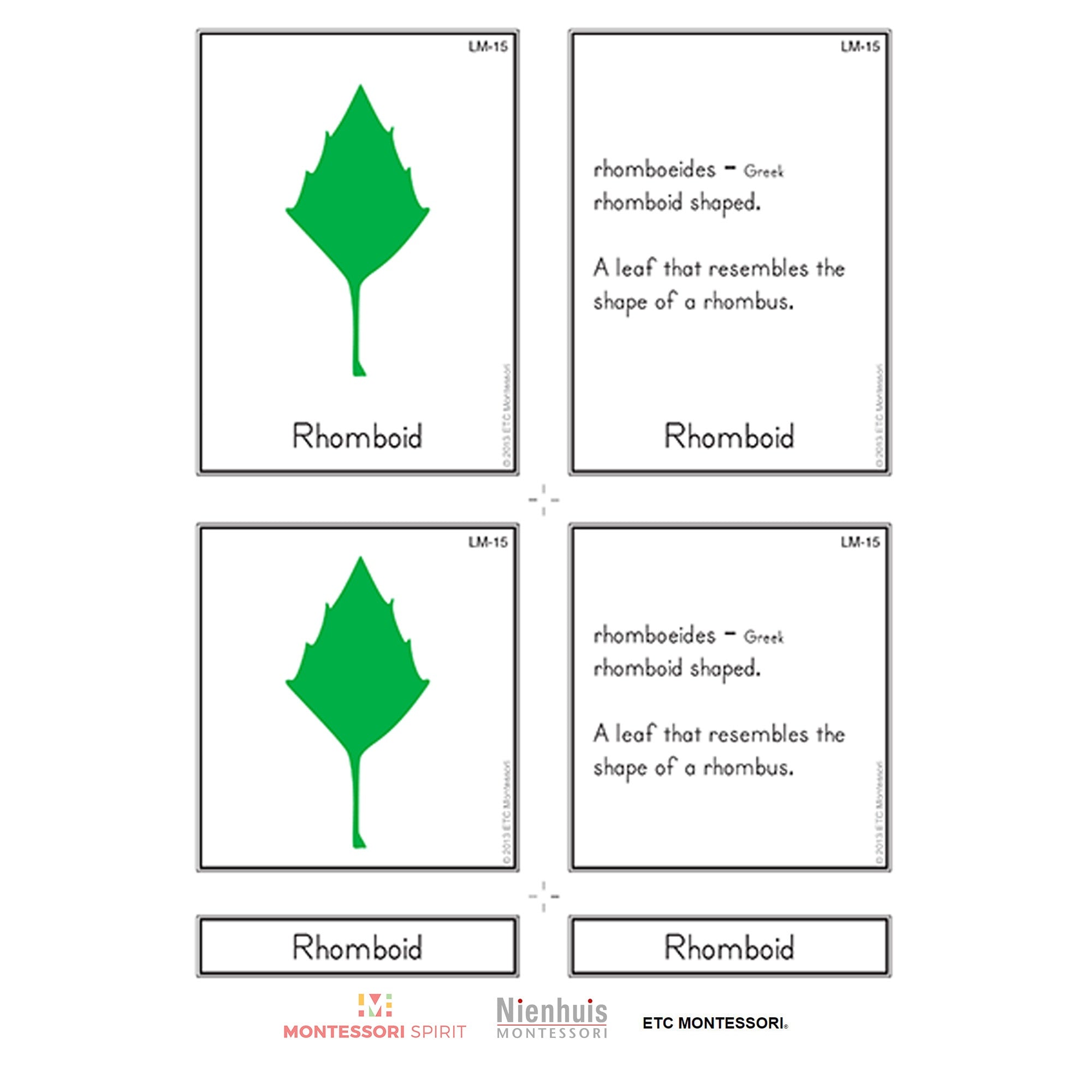 Leaf Morphology Nomenclature