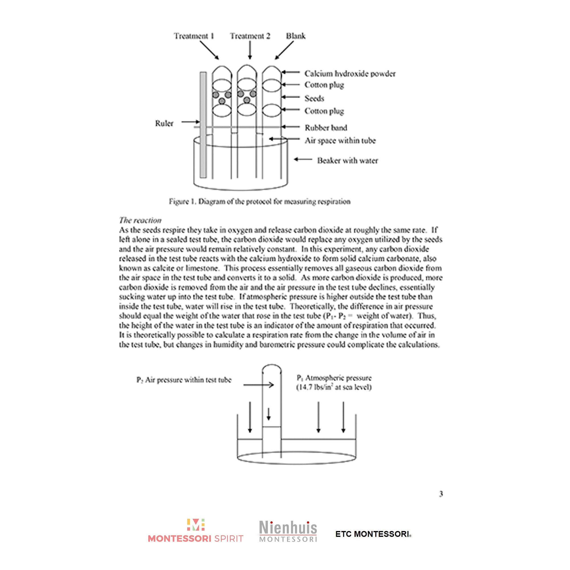 Plant Physiology