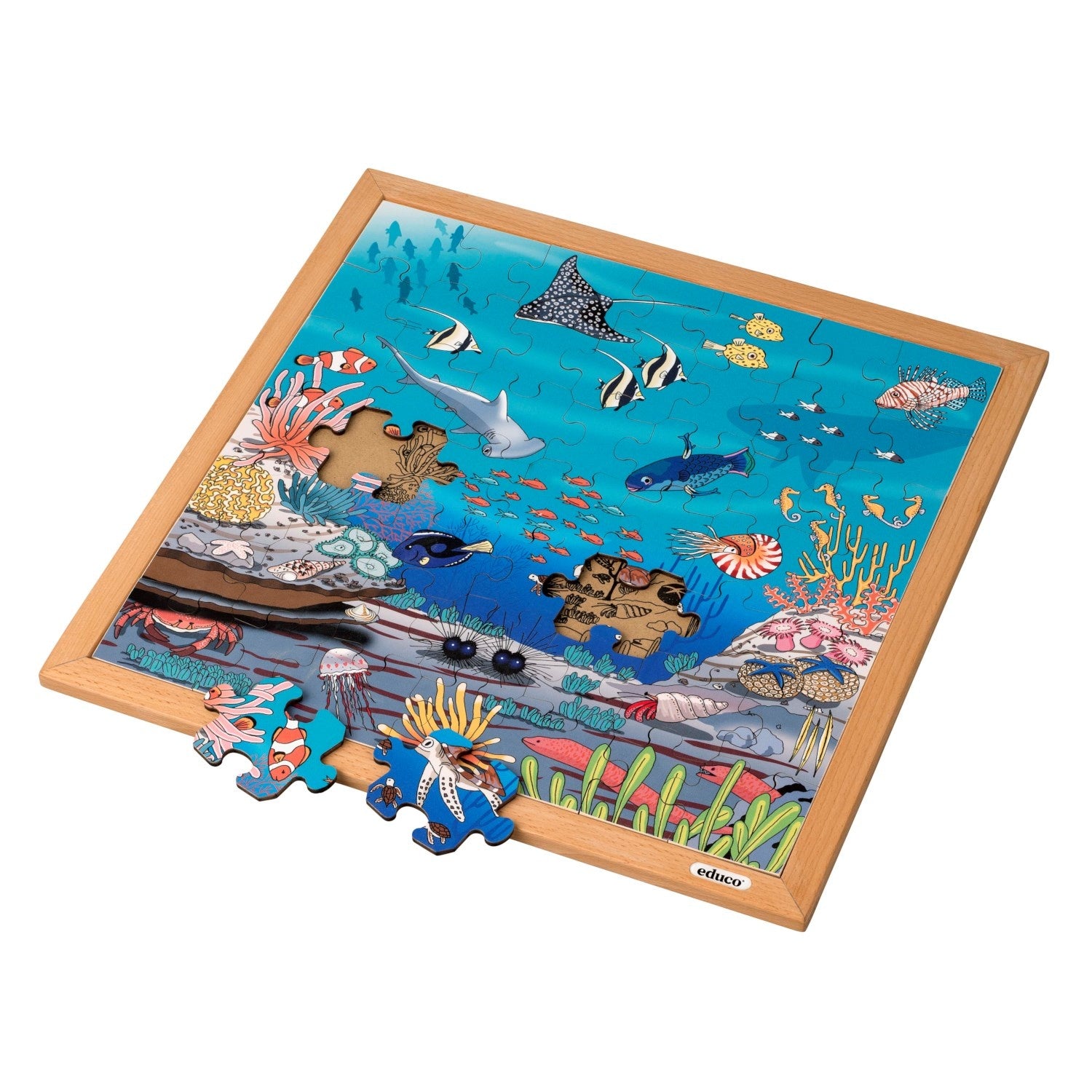 Puzzle de vocabulaire - Corail