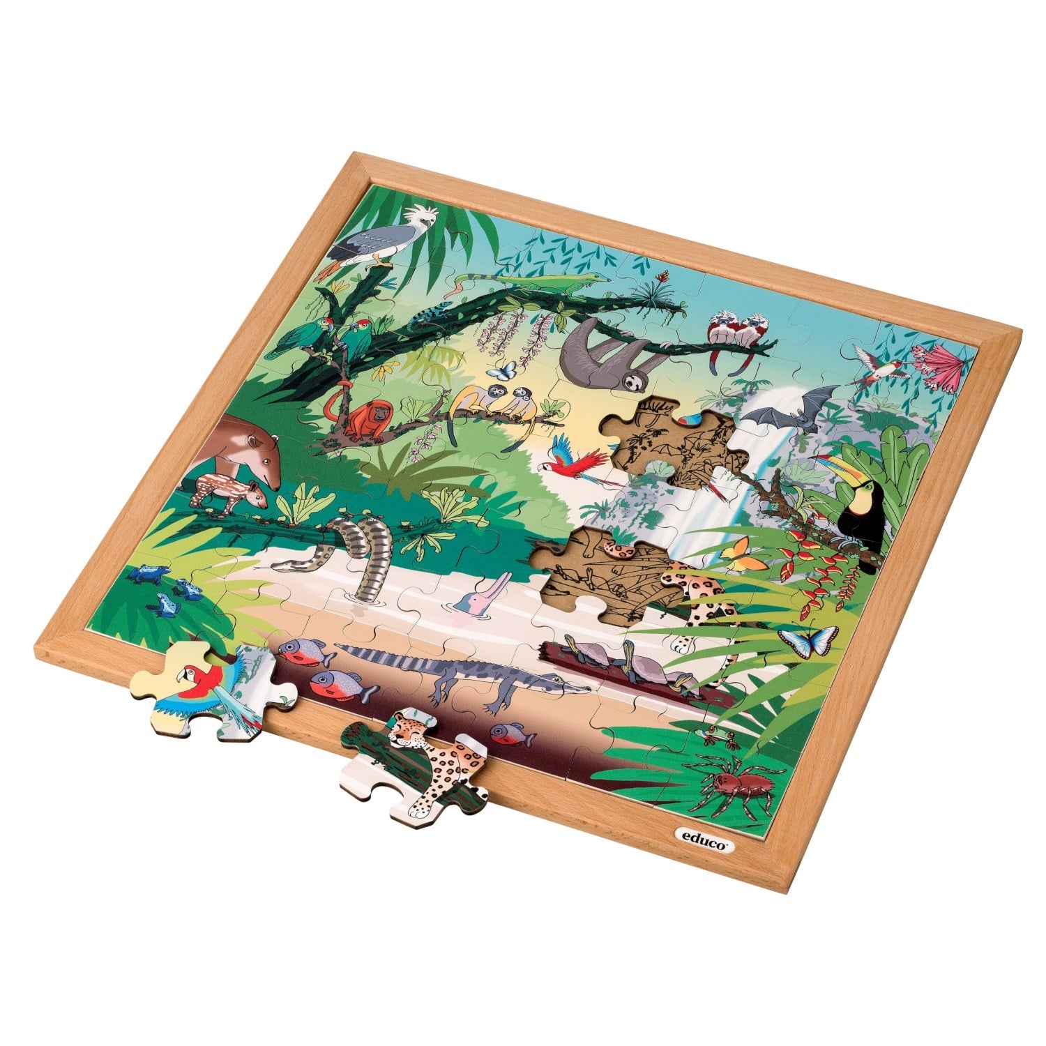 Puzzle de vocabulaire - Forêt tropicale