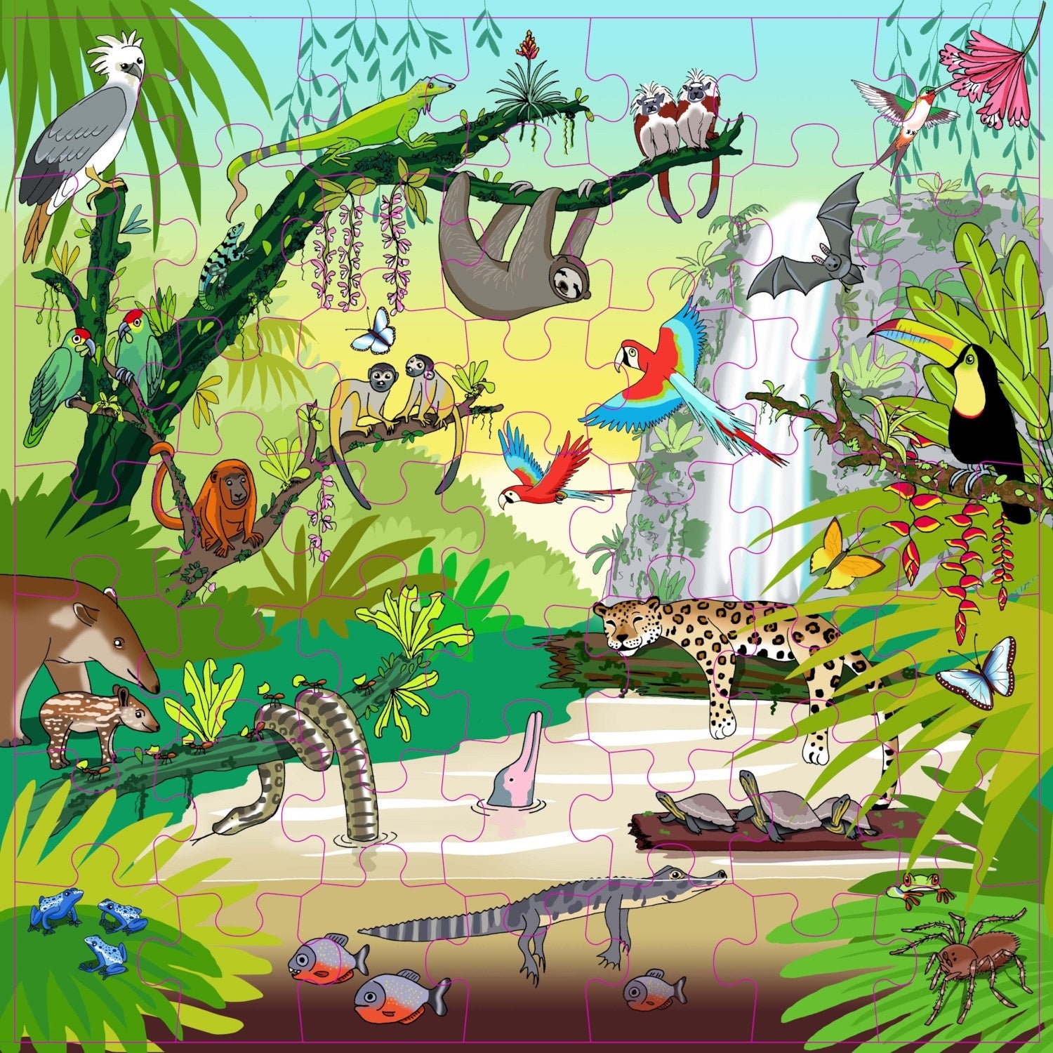 Puzzle de vocabulaire - Forêt tropicale