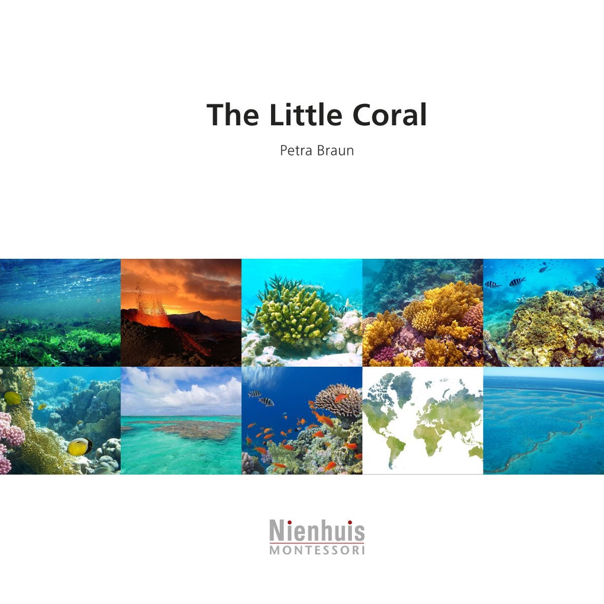 The Little Coral