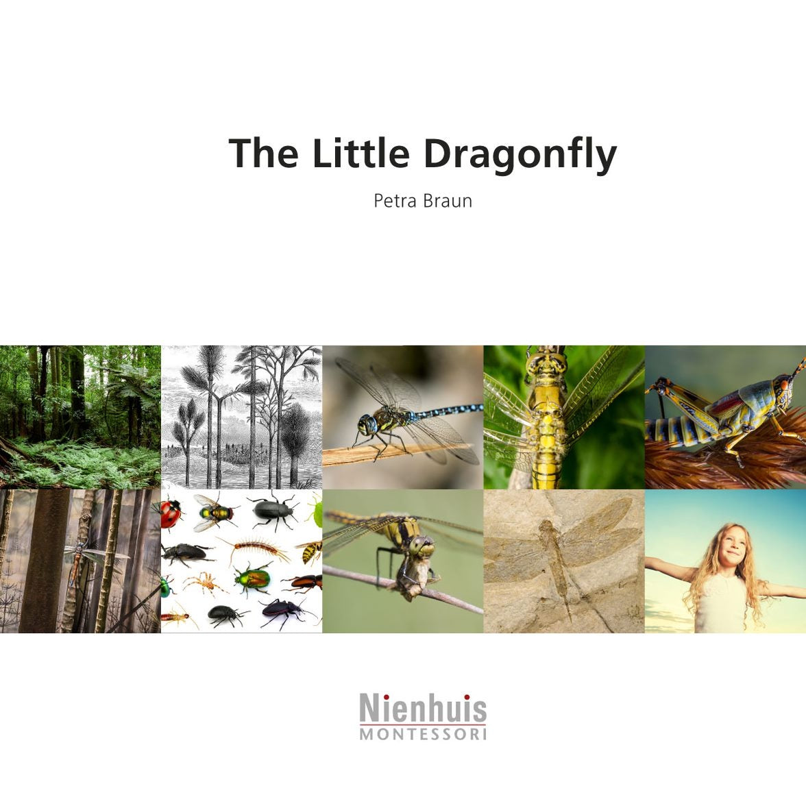 The Little Dragonfly