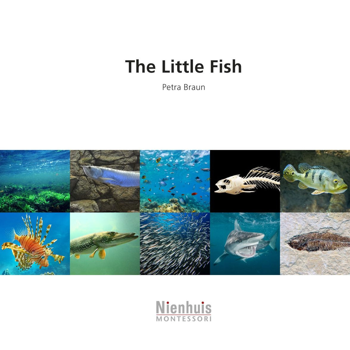 The Little Fish