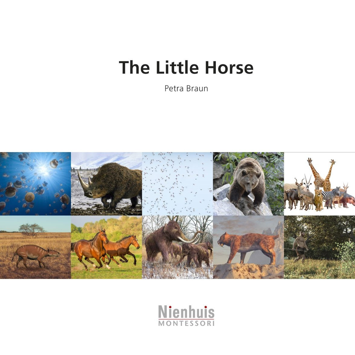 The Little Horse