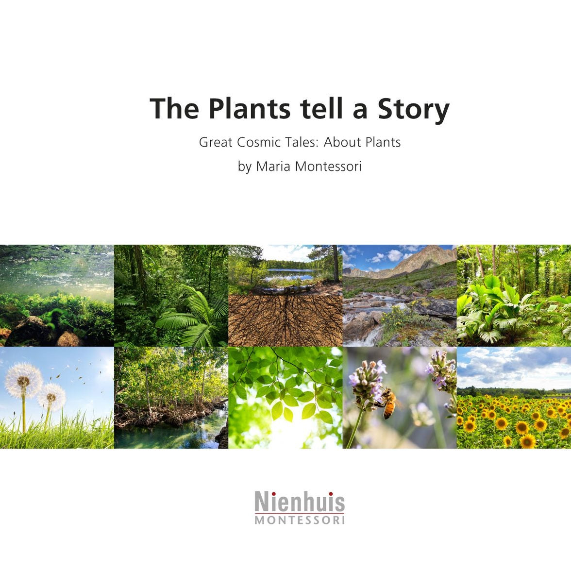 The Plants Tell A Story