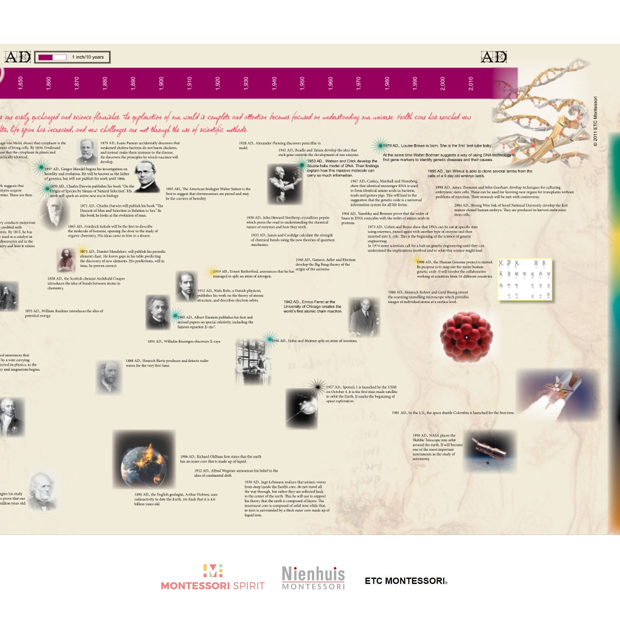 Timeline of Scientists (Display)