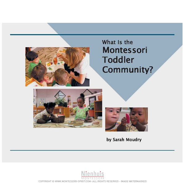 Image of What-is-the-montessori-toddler-community