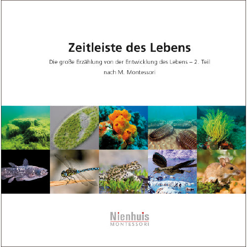 Zeitleiste des Lebens