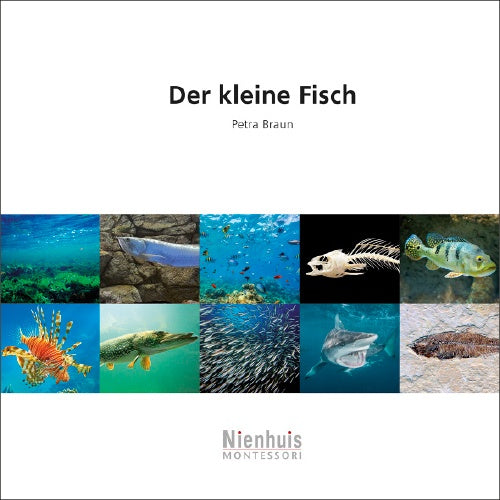 Der kleine Fisch