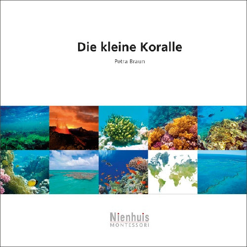 Die kleine Koralle