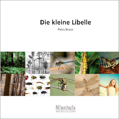 Die kleine Libelle