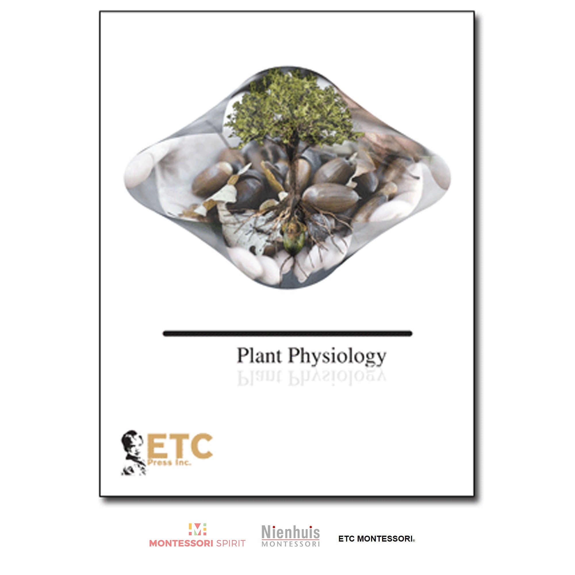 Pflanzenphysiologie