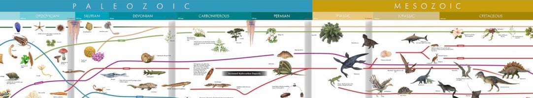 ETC Timelines