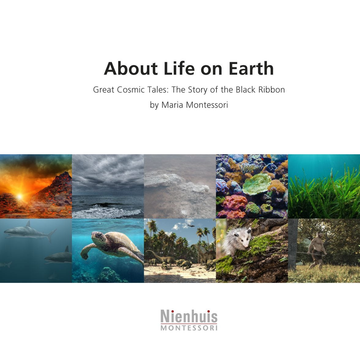 About life on earth