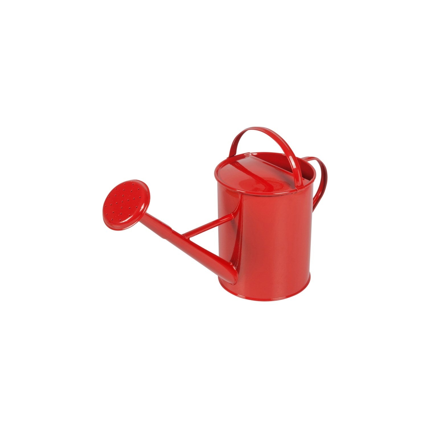 Watering can with handles