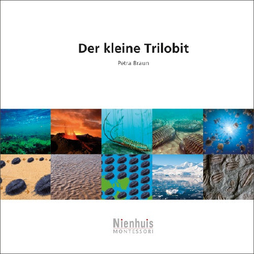 Der kleine Trilobit