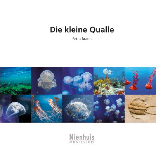 Die kleine Qualle