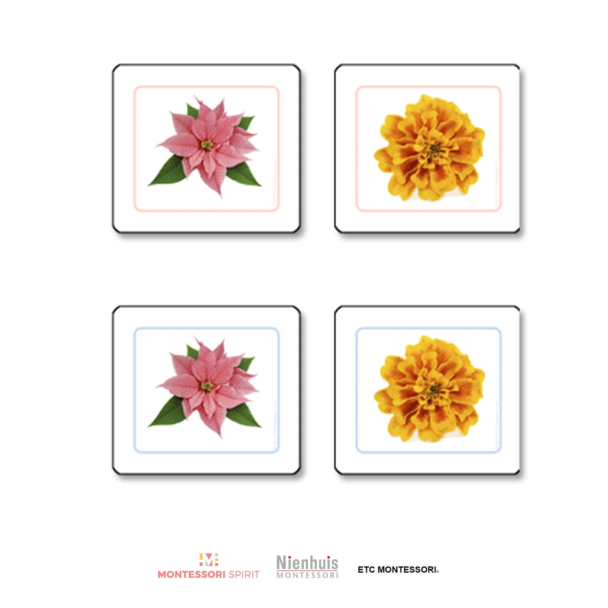 Flowers Matching Cards