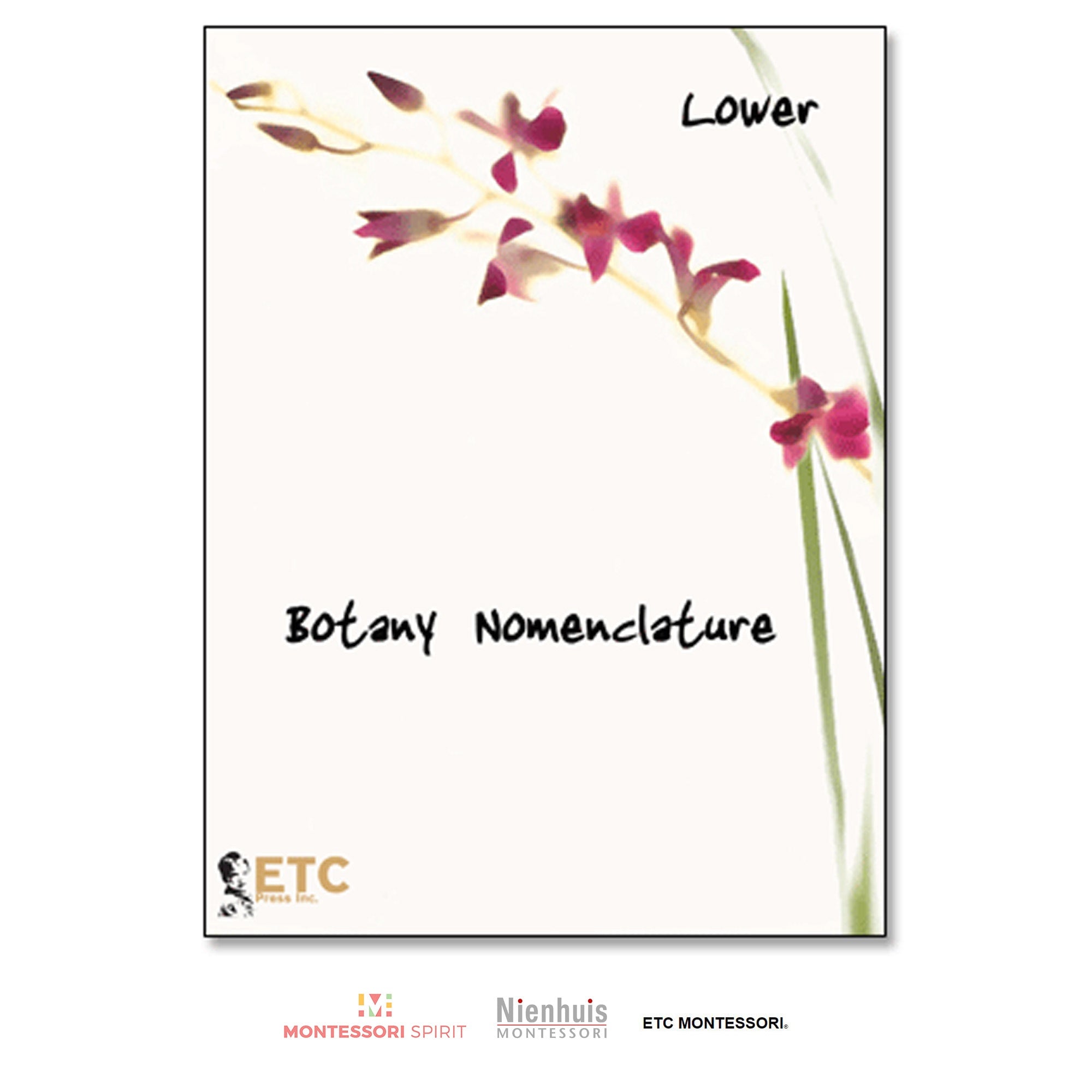 Lower Elementary Botany Nomenclature