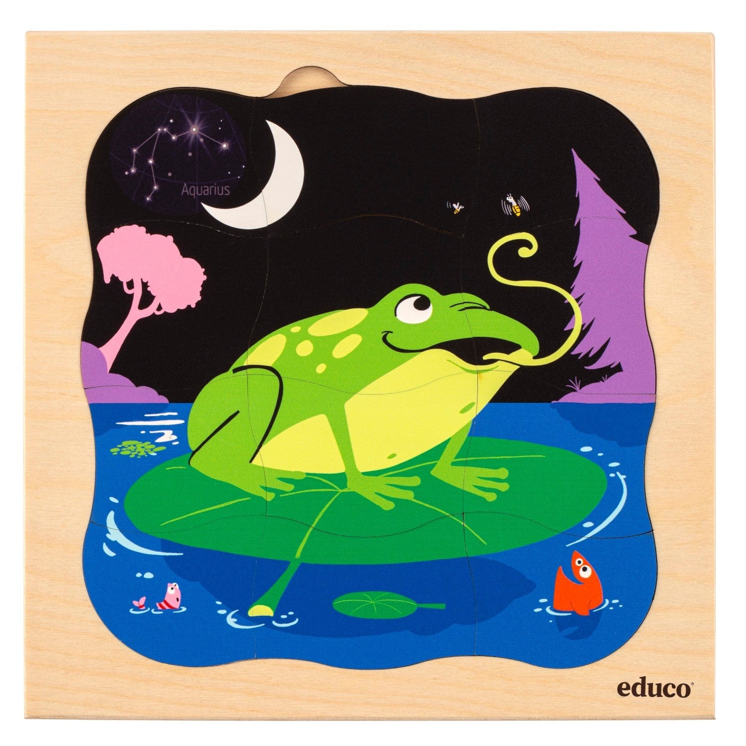 Evolutionary puzzle - Frog