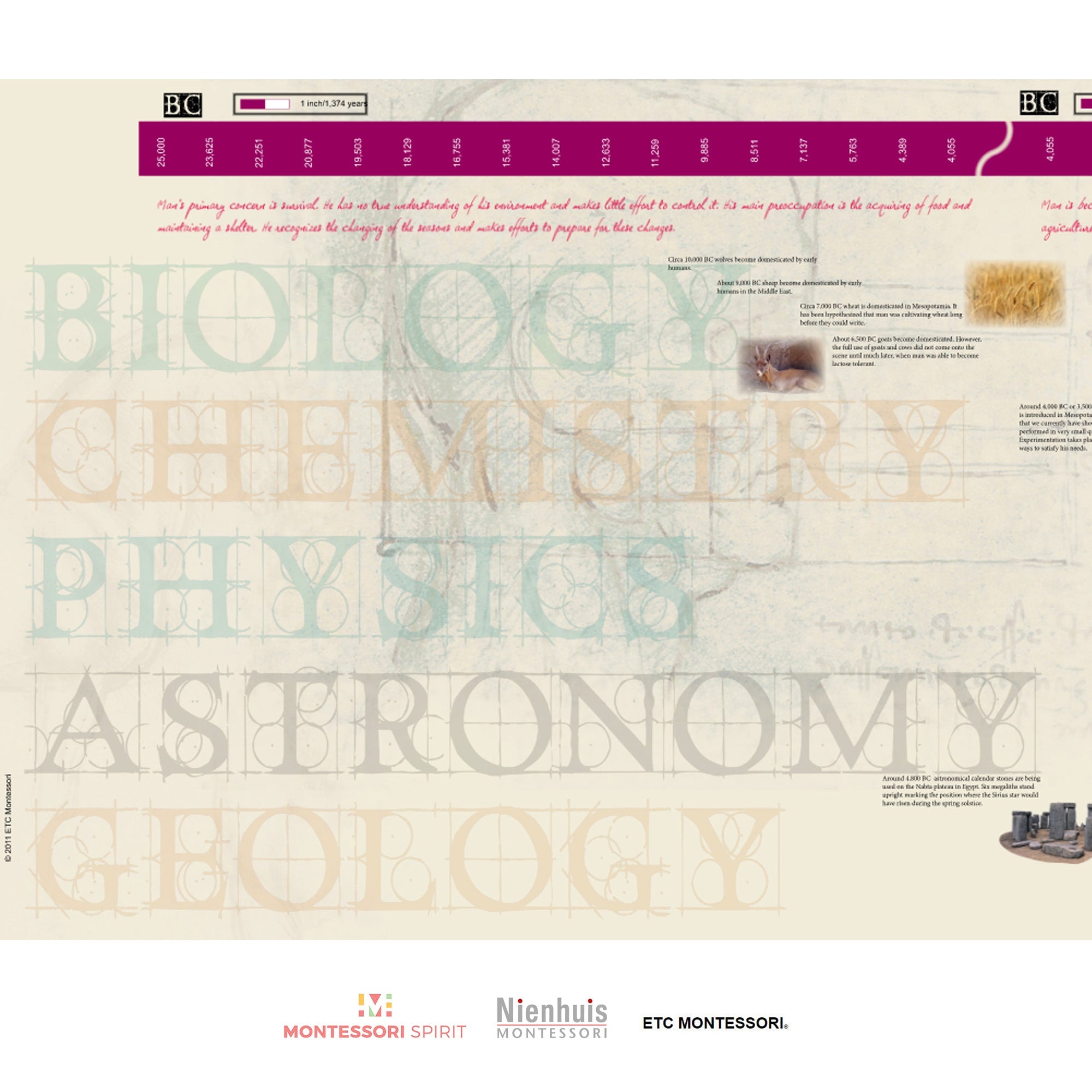 Timeline of Scientists (Display)