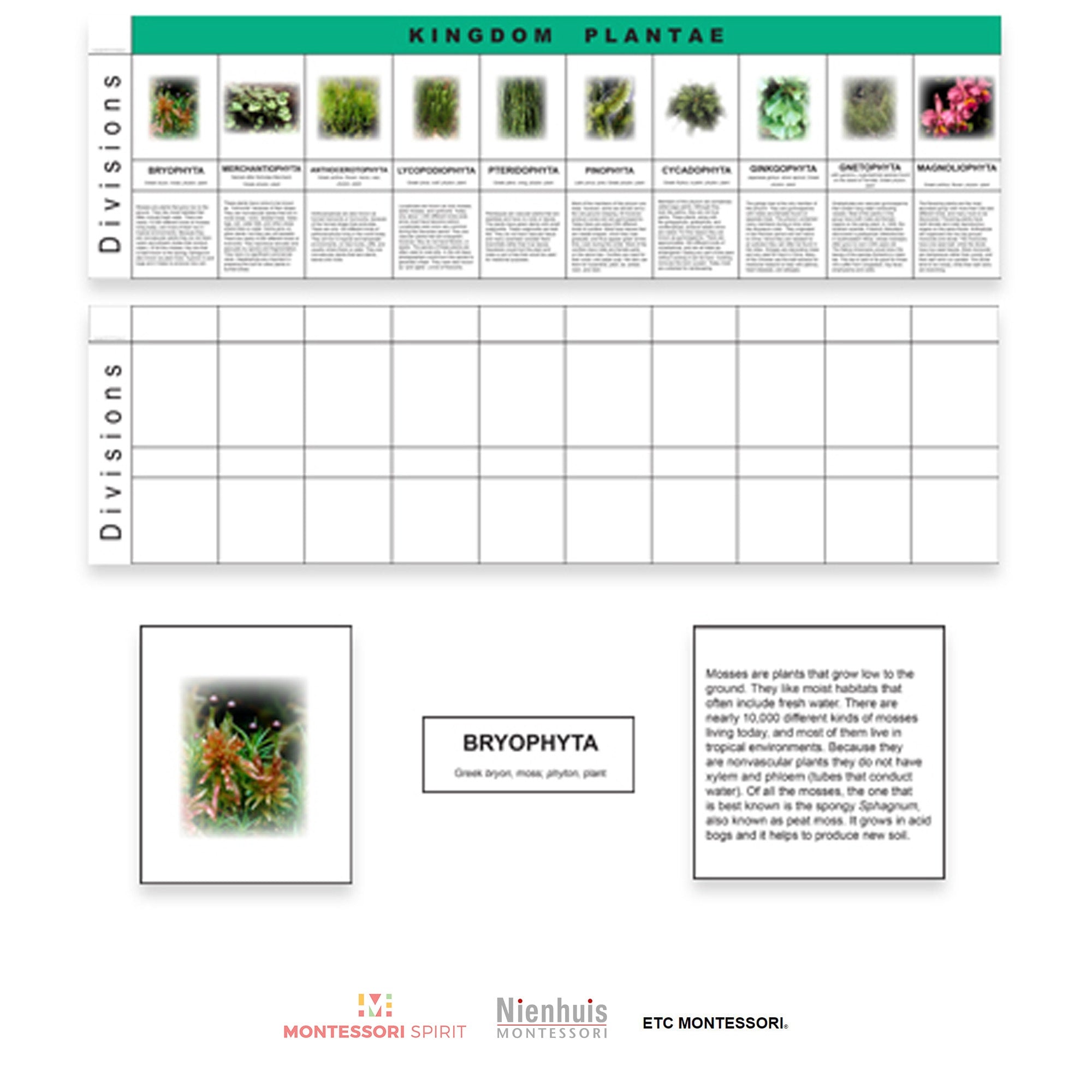 Tablas del reino vegetal