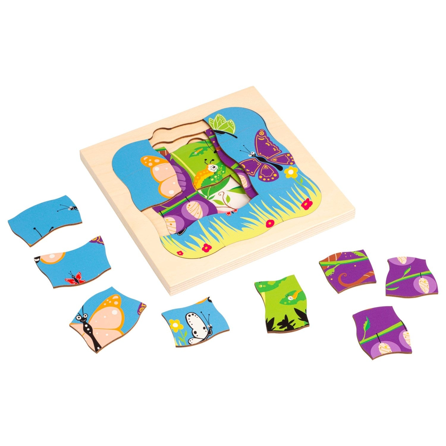 Puzzle evolutivo - Mariposa