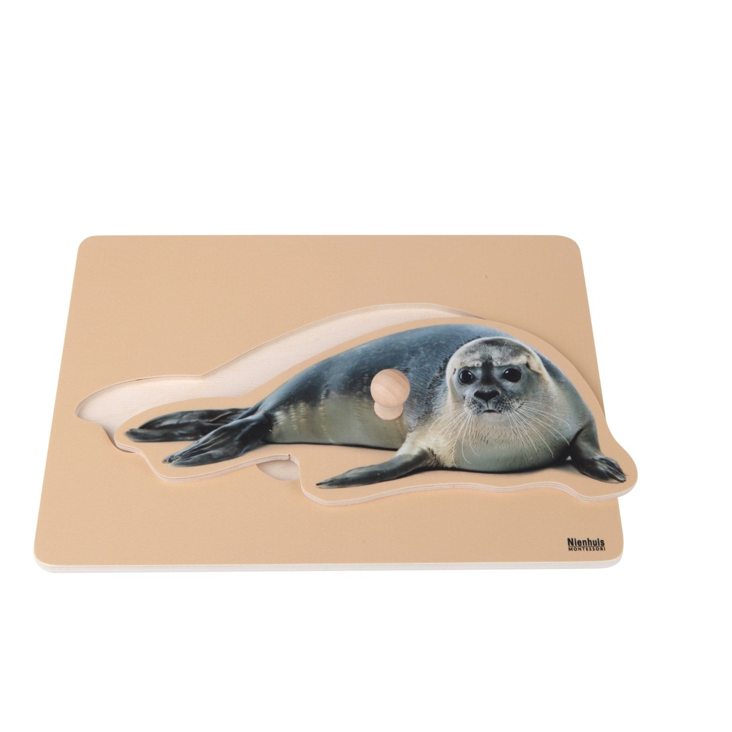 Puzzle para niños: foca