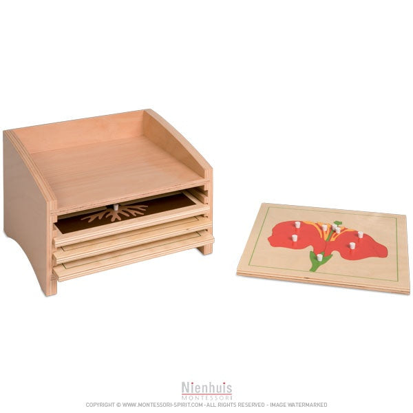 Immagine di Cabinet-de-rangement-des-puzzles-de-botanique