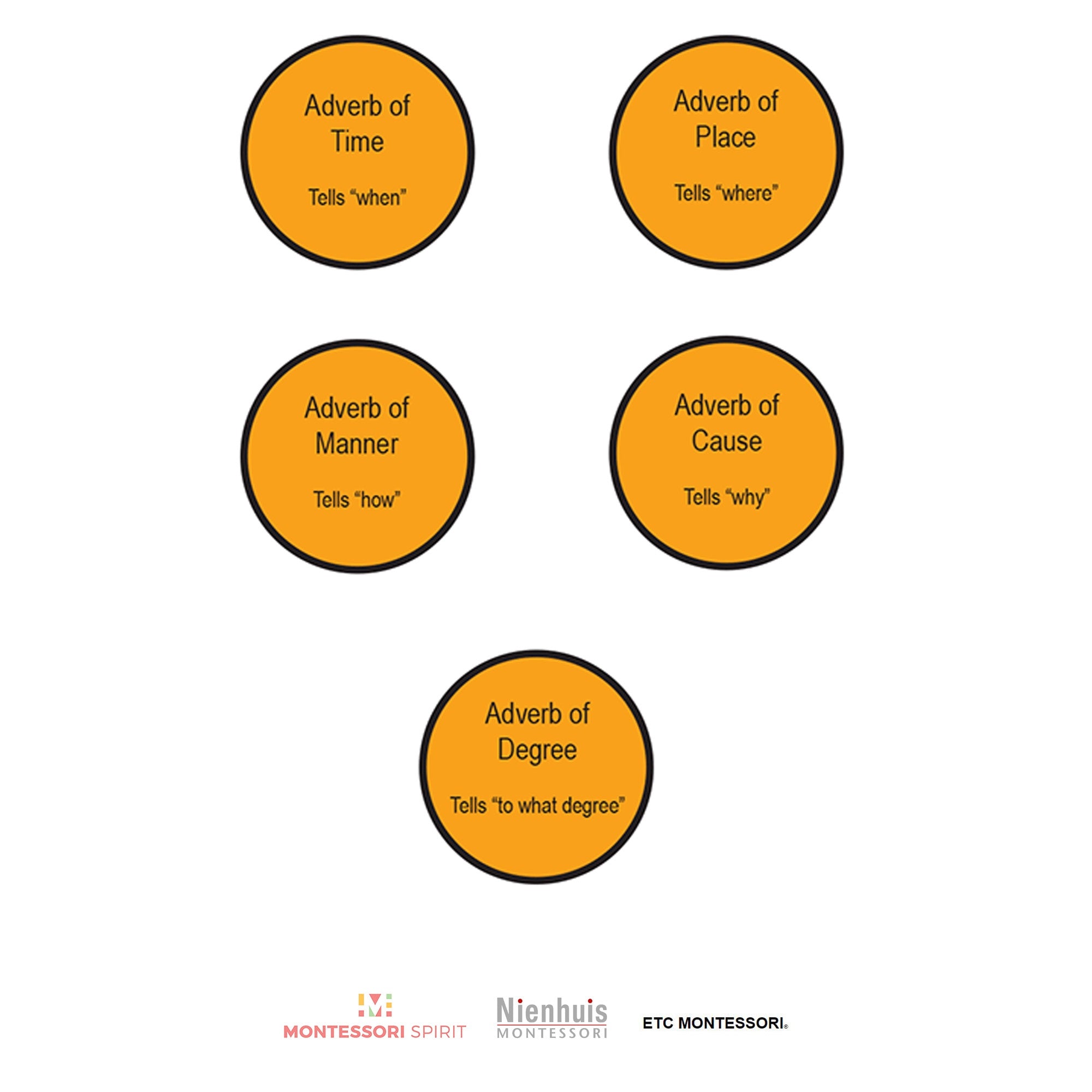 Curriculum grammatica Livello 9-12