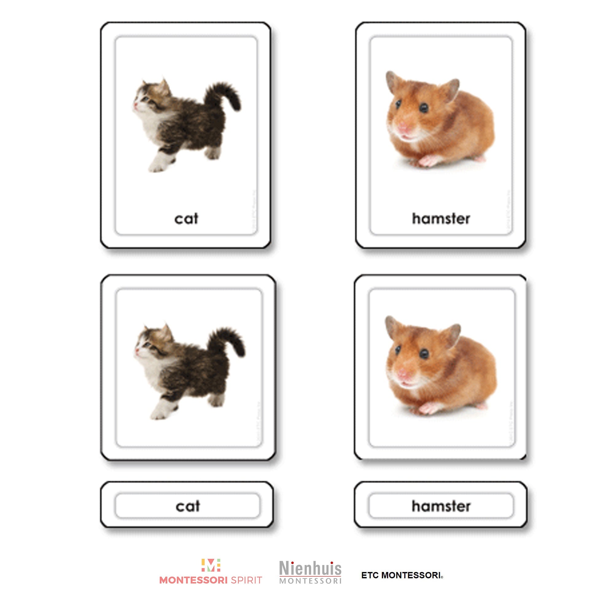 Animali domestici Carte in 3 parti